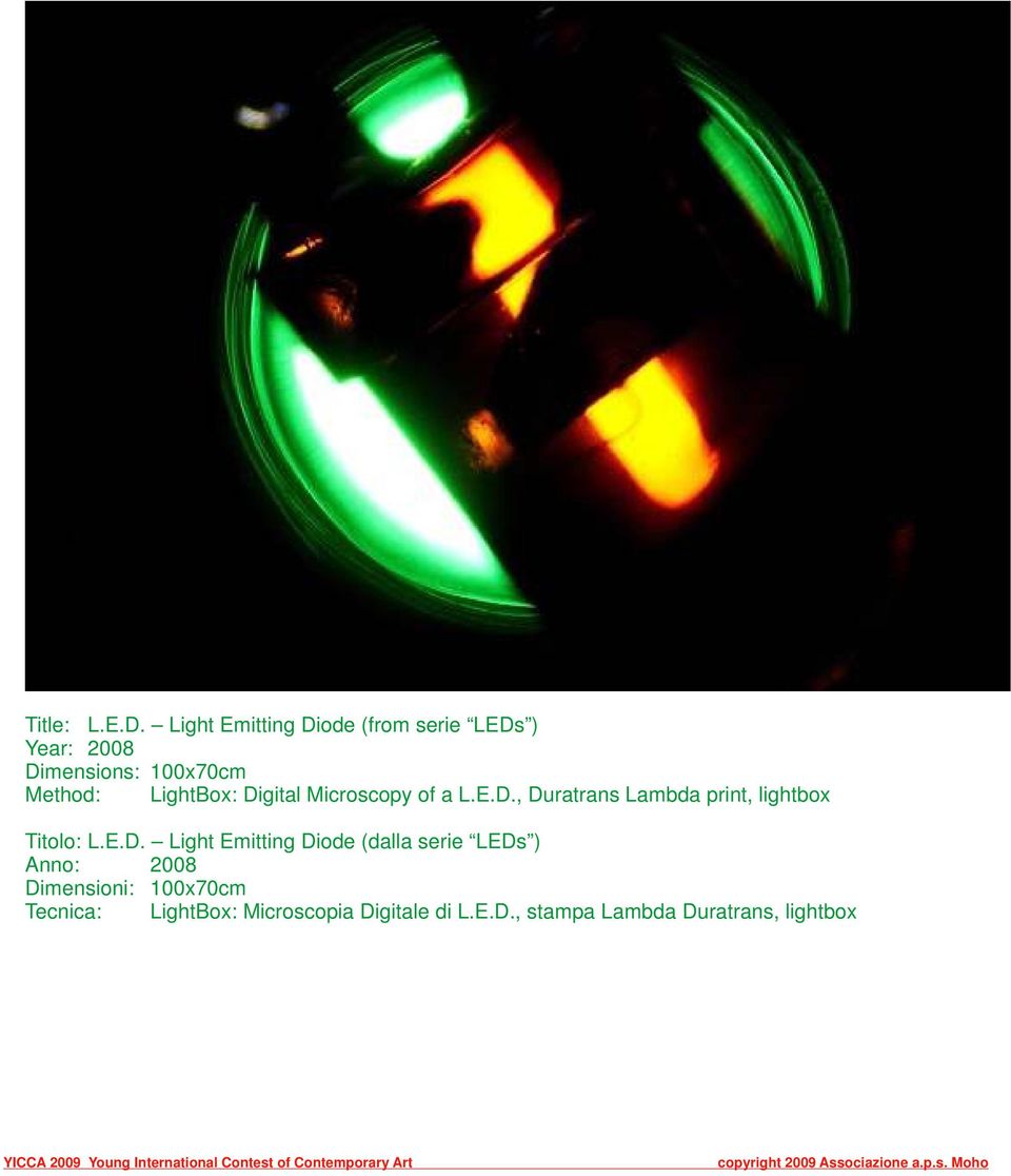 LightBox: Digital Microscopy of a L.E.D., Duratrans Lambda print, lightbox Titolo: L.