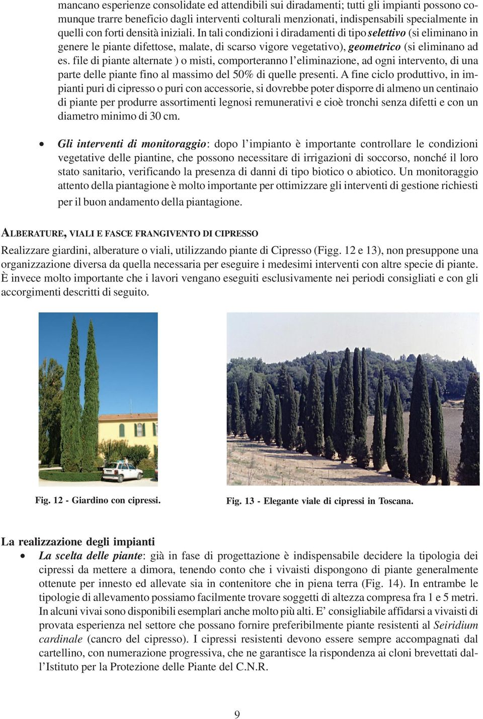 file di piante alternate ) o misti, comporteranno l eliminazione, ad ogni intervento, di una parte delle piante fino al massimo del 50% di quelle presenti.