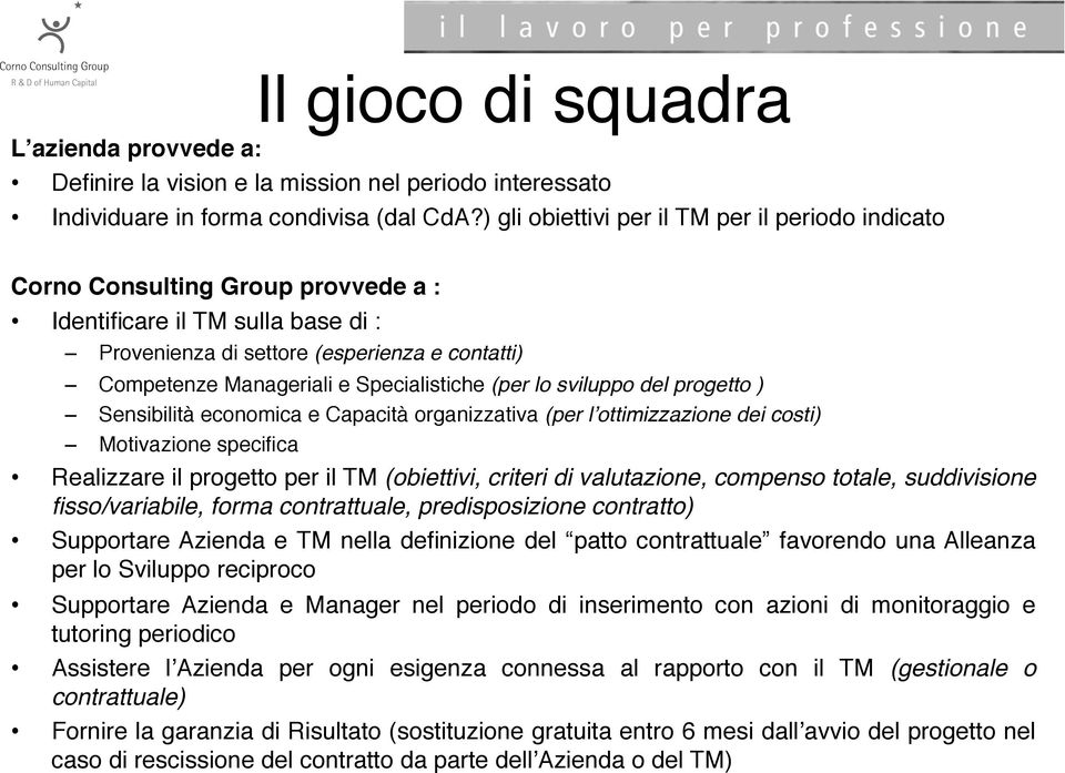 Specialistiche (per lo sviluppo del progetto ) Sensibilità economica e Capacità organizzativa (per lʼottimizzazione dei costi) Motivazione specifica Realizzare il progetto per il TM (obiettivi,