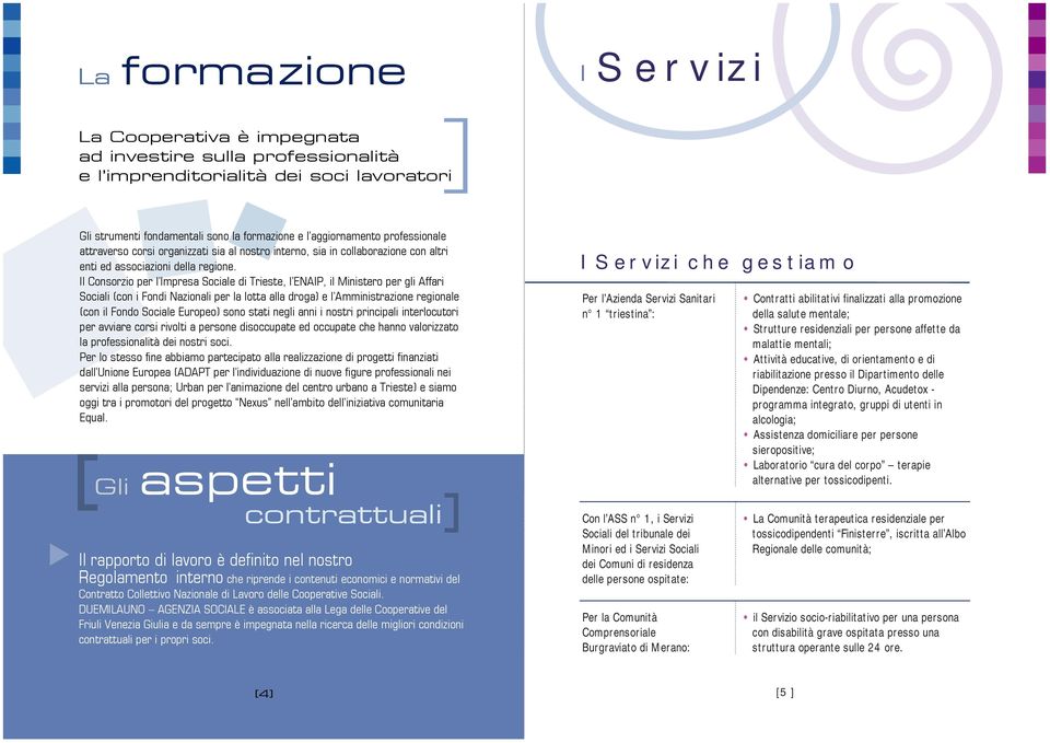 Il Consorzio per l Impresa Sociale di Trieste, l ENAIP, il Ministero per gli Affari Sociali (con i Fondi Nazionali per la lotta alla droga) e l Amministrazione regionale (con il Fondo Sociale