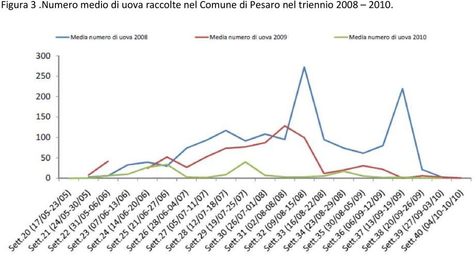 raccolte nel Comune