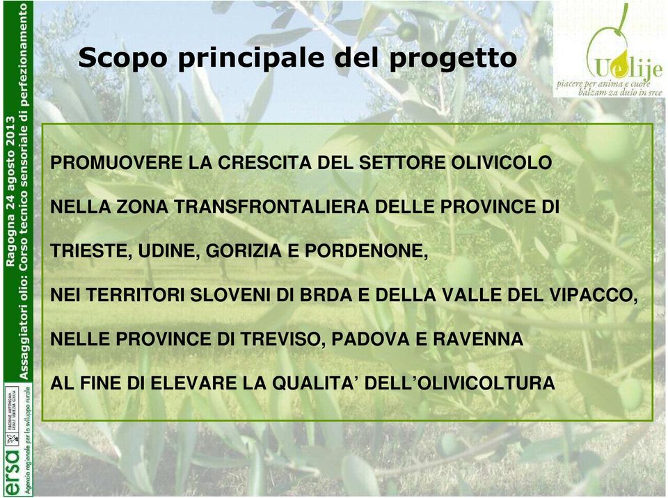 PORDENONE, NEI TERRITORI SLOVENI DI BRDA E DELLA VALLE DEL VIPACCO, NELLE