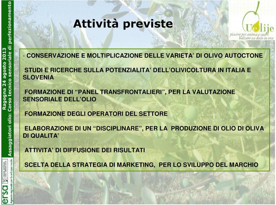 SENSORIALE DELL OLIO FORMAZIONE DEGLI OPERATORI DEL SETTORE ELABORAZIONE DI UN DISCIPLINARE, PER LA PRODUZIONE DI