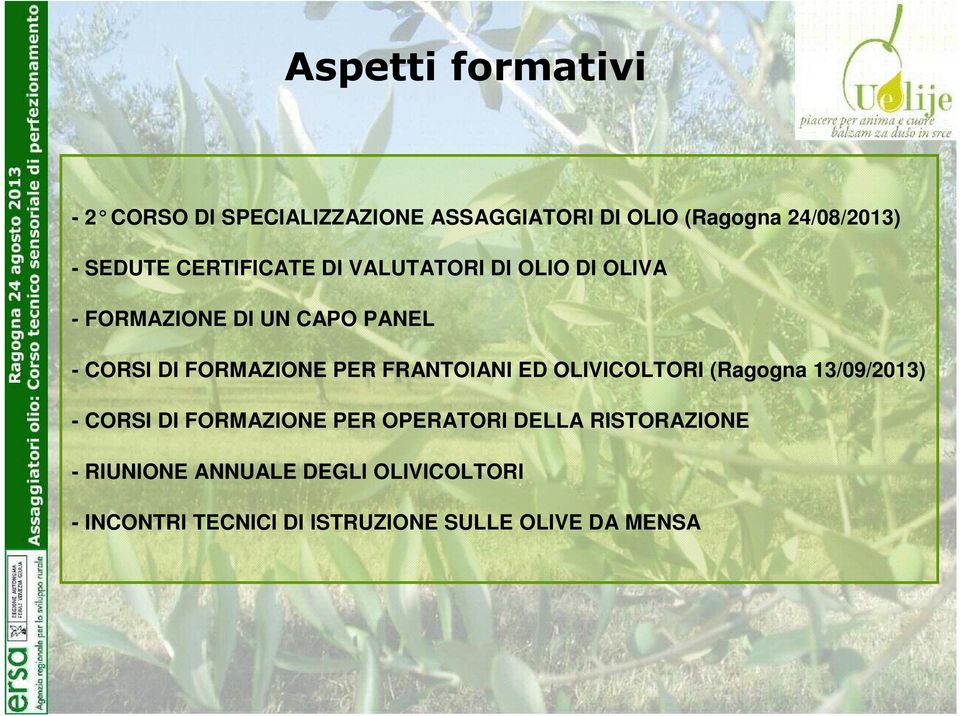 FORMAZIONE PER FRANTOIANI ED OLIVICOLTORI (Ragogna 13/09/2013) - CORSI DI FORMAZIONE PER OPERATORI