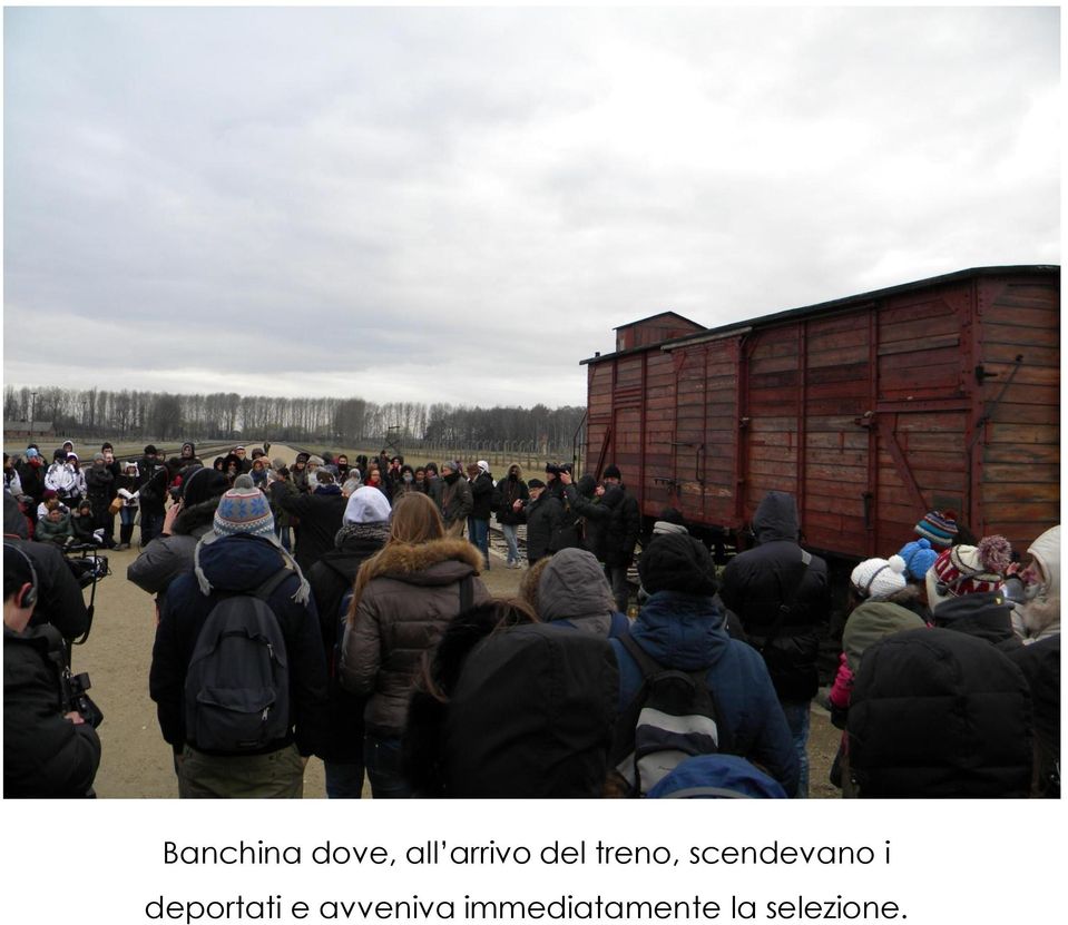 Tasso di Roma Banchina dove, all arrivo del