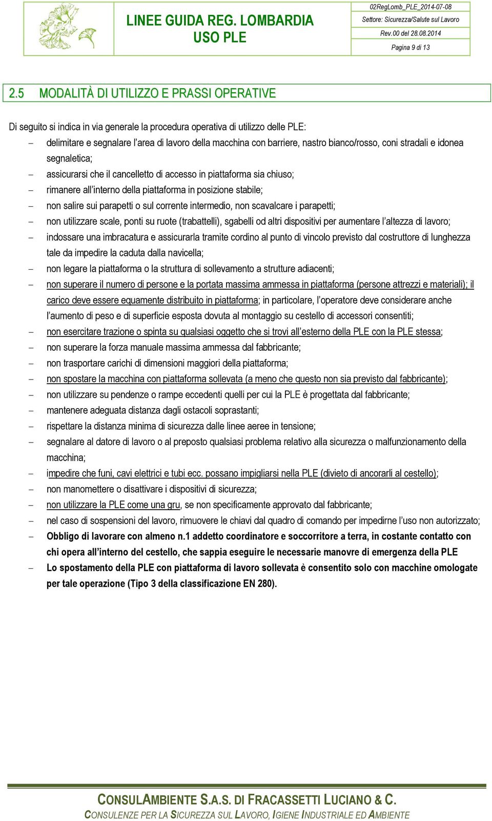 nastro bianco/rosso, coni stradali e idonea segnaletica; - assicurarsi che il cancelletto di accesso in piattaforma sia chiuso; - rimanere all interno della piattaforma in posizione stabile; - non