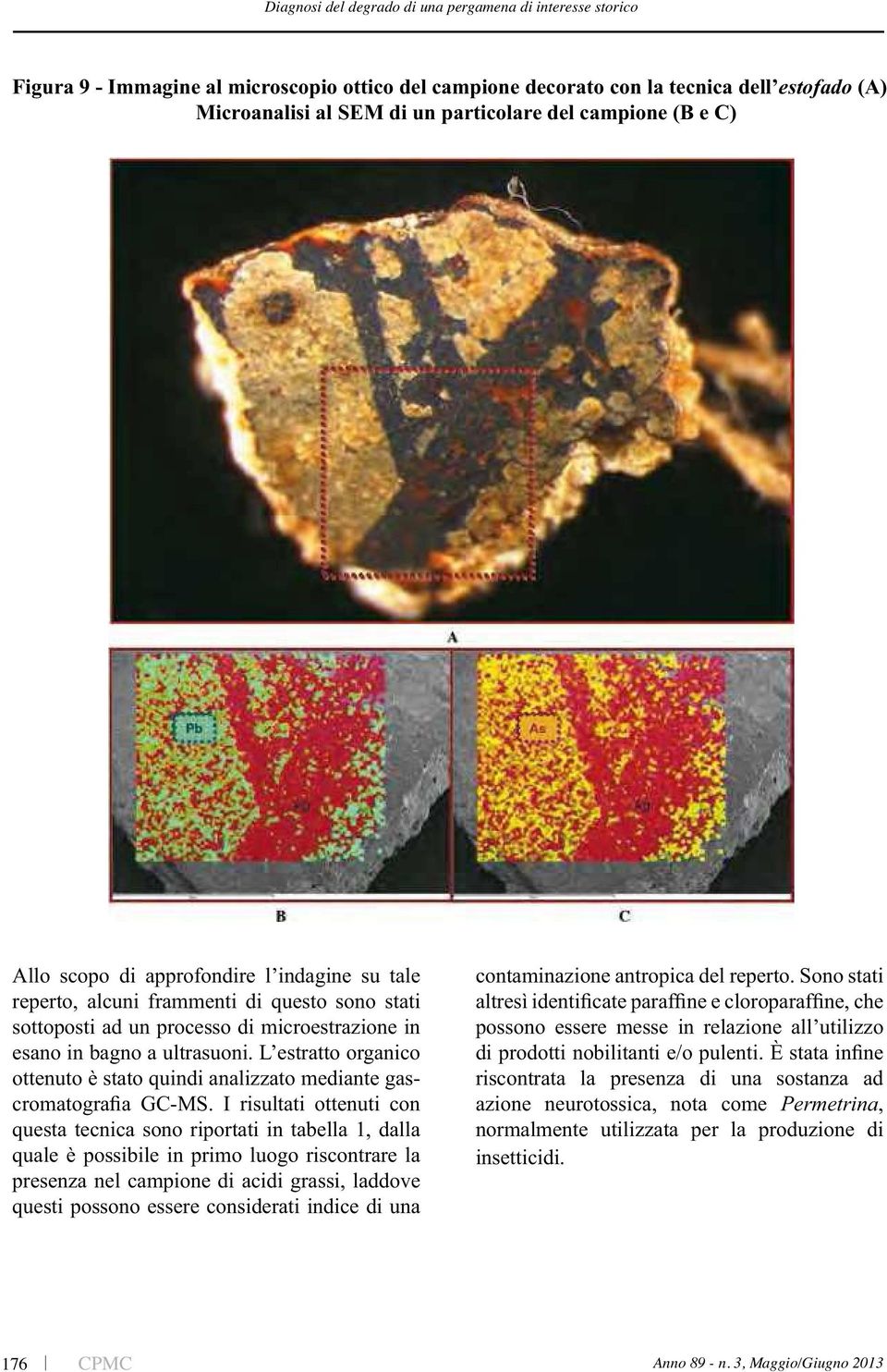 dalla questi possono essere considerati indice di una contaminazione antropica del reperto.