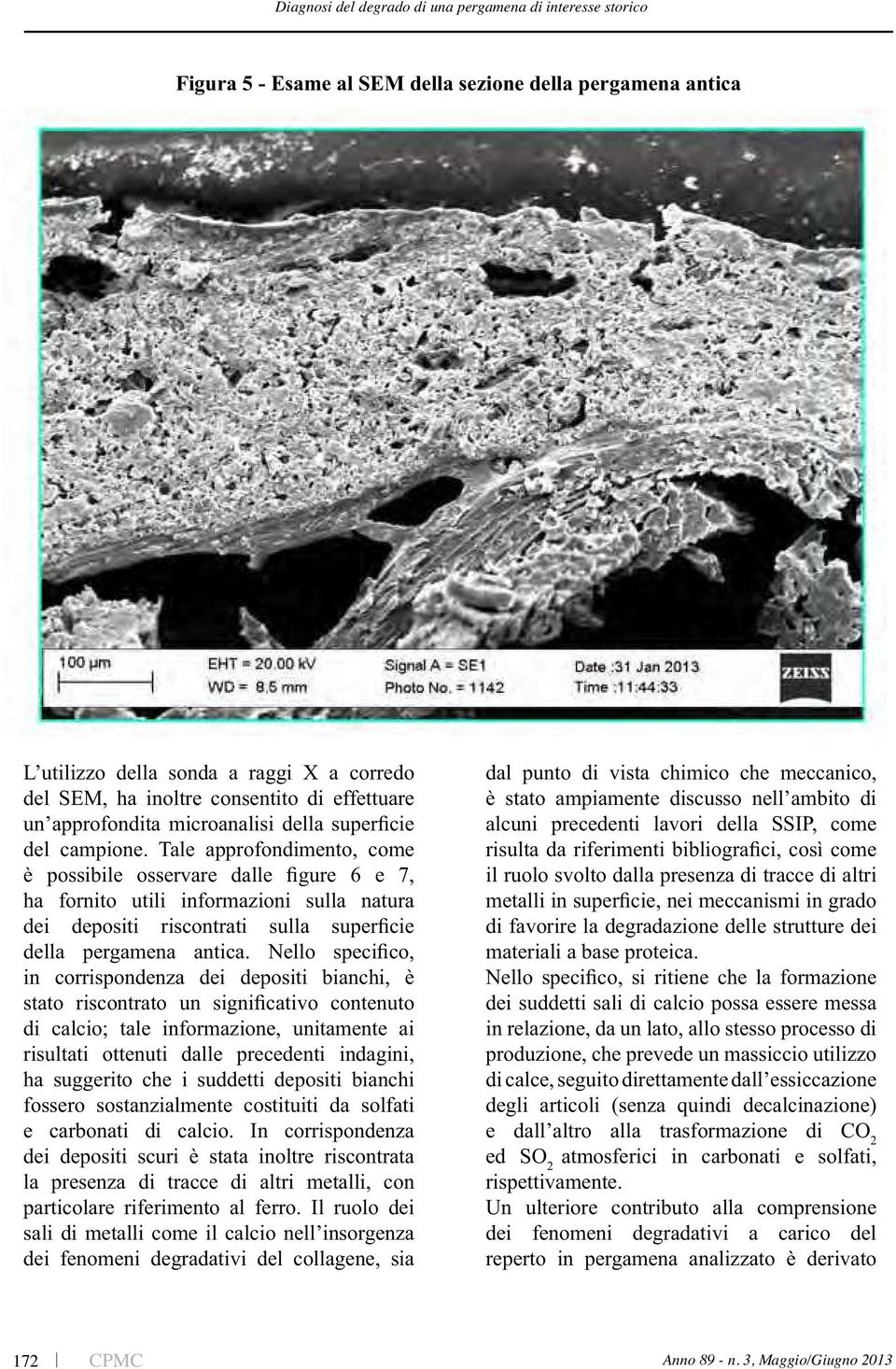 Il ruolo dei dal punto di vista chimico che meccanico, alcuni precedenti lavori della SSIP, come il ruolo svolto dalla presenza di tracce di altri materiali a base proteica.