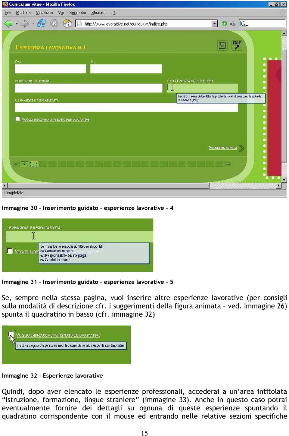 immagine 32) Immagine 32 Esperienze lavorative Quindi, dopo aver elencato le esperienze professionali, accederai a un area intitolata Istruzione, formazione, lingue straniere