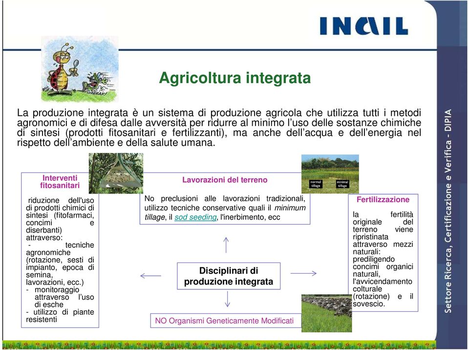 Interventi fitosanitari riduzione dell'uso di prodotti chimici di sintesi (fitofarmaci, concimi e diserbanti) attraverso: - tecniche agronomiche (rotazione, sesti di impianto, epoca di semina,