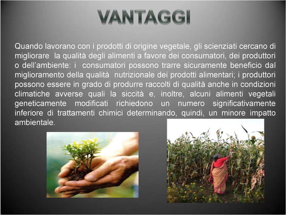 produttori possono essere in grado di produrre raccolti di qualità anche in condizioni climatiche avverse quali la siccità e, inoltre, alcuni alimenti