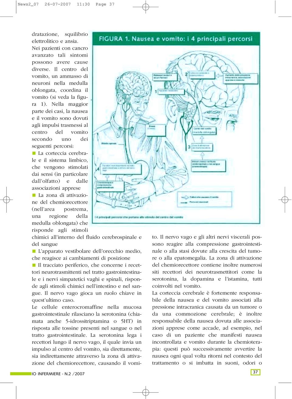 Nella maggior parte dei casi, la nausea e il vomito sono dovuti agli impulsi trasmessi al centro del vomito secondo uno dei seguenti percorsi: La corteccia cerebrale e il sistema limbico, che vengono