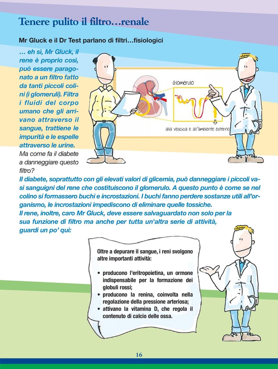 Il diabete, soprattutto con gli elevati valori di glicemia, può danneggiare i piccoli vasi sanguigni del rene che costituiscono il glomerulo.