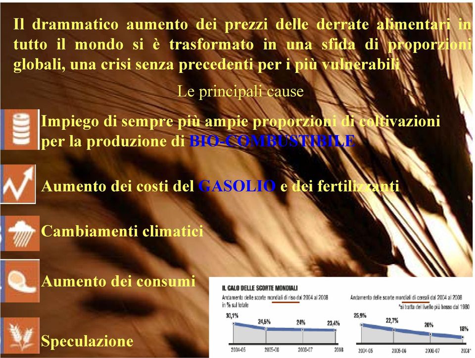 Impiego di sempre più ampie proporzioni di coltivazioni per la produzione di BIO-COMBUSTIBILE