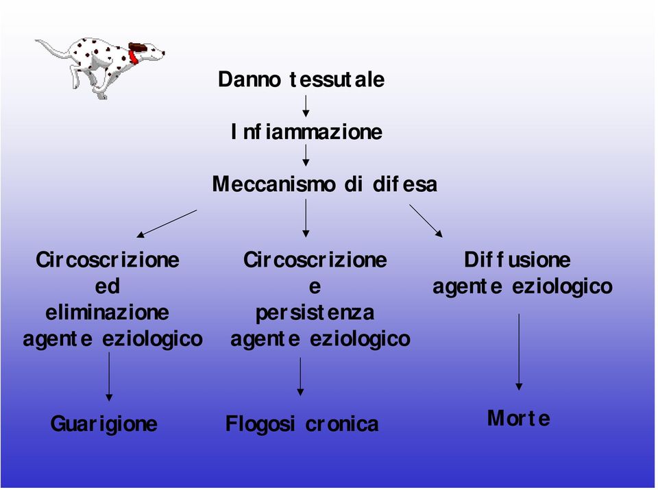 Circoscrizione e persistenza agente eziologico