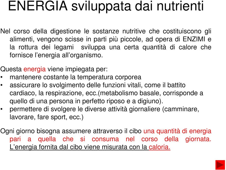 Questa energia viene impiegata per: mantenere costante la temperatura corporea assicurare lo svolgimento delle funzioni vitali, come il battito cardiaco, la respirazione, i ecc.