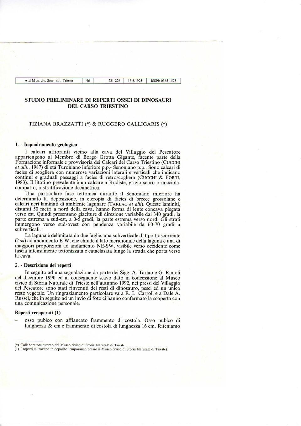 Calcari del Carso Triestino (CUCCHI et ala., 1987) di età Turoniano inferiore p.