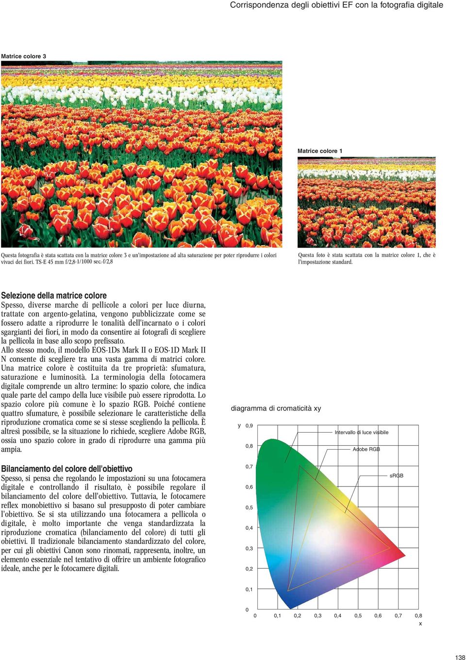 Selezione della matrice colore Spesso, diverse marche di pellicole a colori per luce diurna, trattate con argento-gelatina, vengono pubblicizzate come se fossero adatte a riprodurre le tonalità