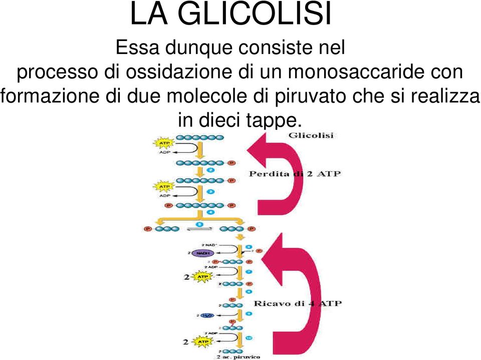 monosaccaride con formazione di due