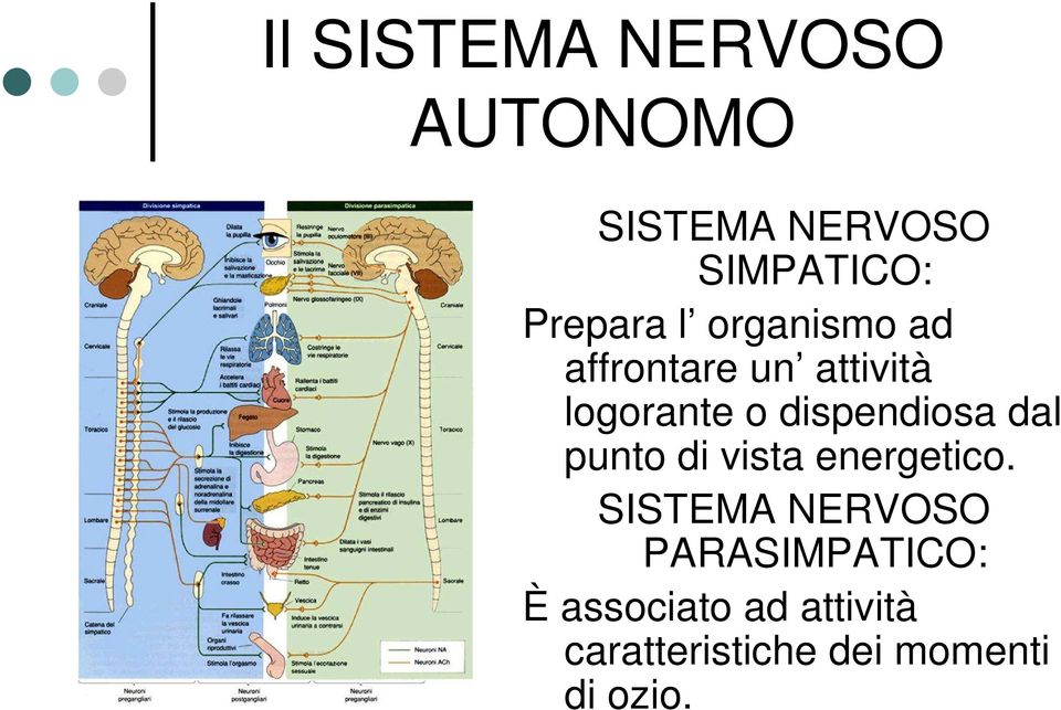 dispendiosa dal punto di vista energetico.