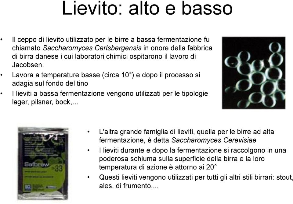 Lavora a temperature basse (circa 10 ) e dopo il processo si adagia sul fondo del tino I lieviti a bassa fermentazione vengono utilizzati per le tipologie lager, pilsner, bock, L'altra grande