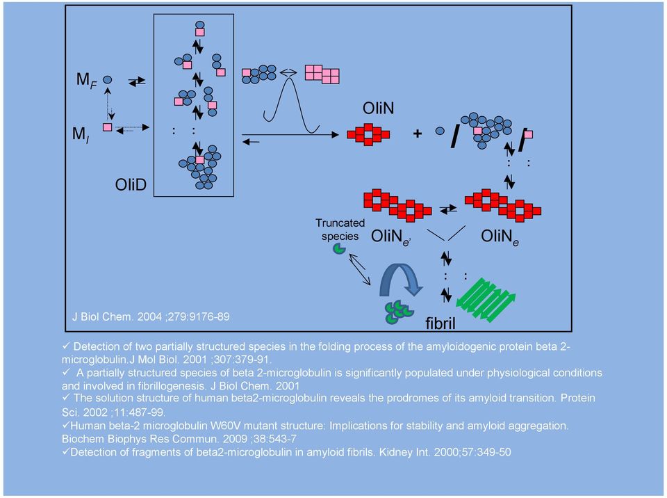 A partially structured species of beta 2-microglobulin is significantly populated under physiological conditions and involved in fibrillogenesis. J Biol Chem.