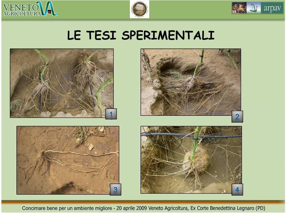 dal sistema di produzione agricolo in modo sostenibile dal punto di vista agronomico, questo