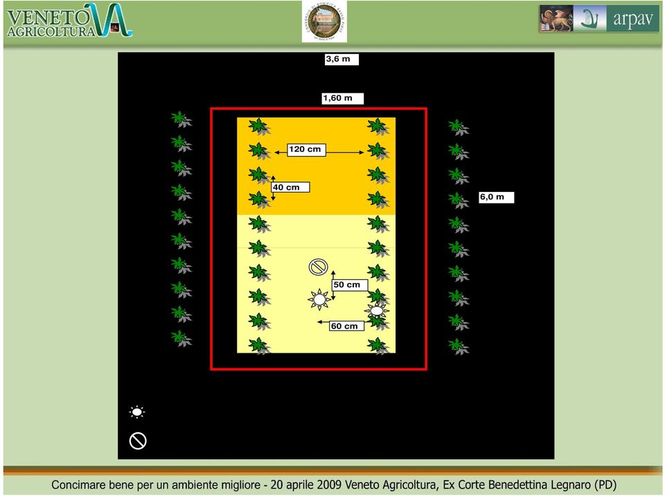 sostenibile dal punto di 60 cm vista agronomico, questo sviluppando tecniche che consentono di individuare e LEGENDA: