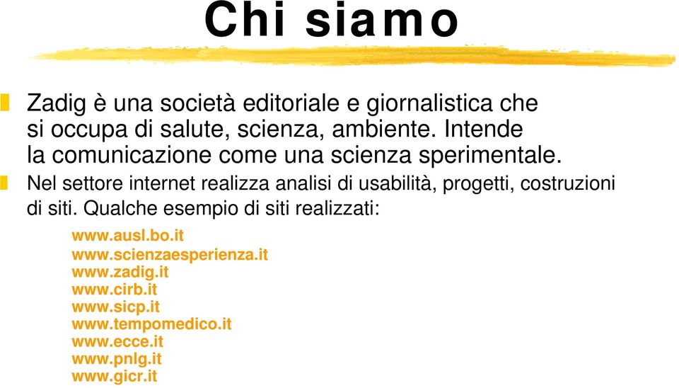 Nel settore internet realizza analisi di usabilità, progetti, costruzioni di siti.