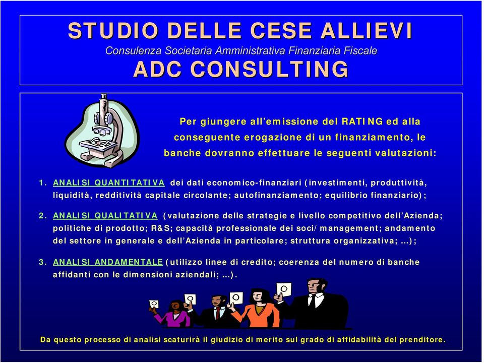 ANALISI QUALITATIVA (valutazione delle strategie e livello competitivo dell Azienda; politiche di prodotto; R&S; capacità professionale dei soci/management; andamento del settore in generale e dell