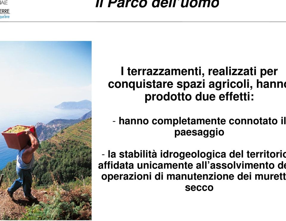 il paesaggio - la stabilità idrogeologica del territorio affidata