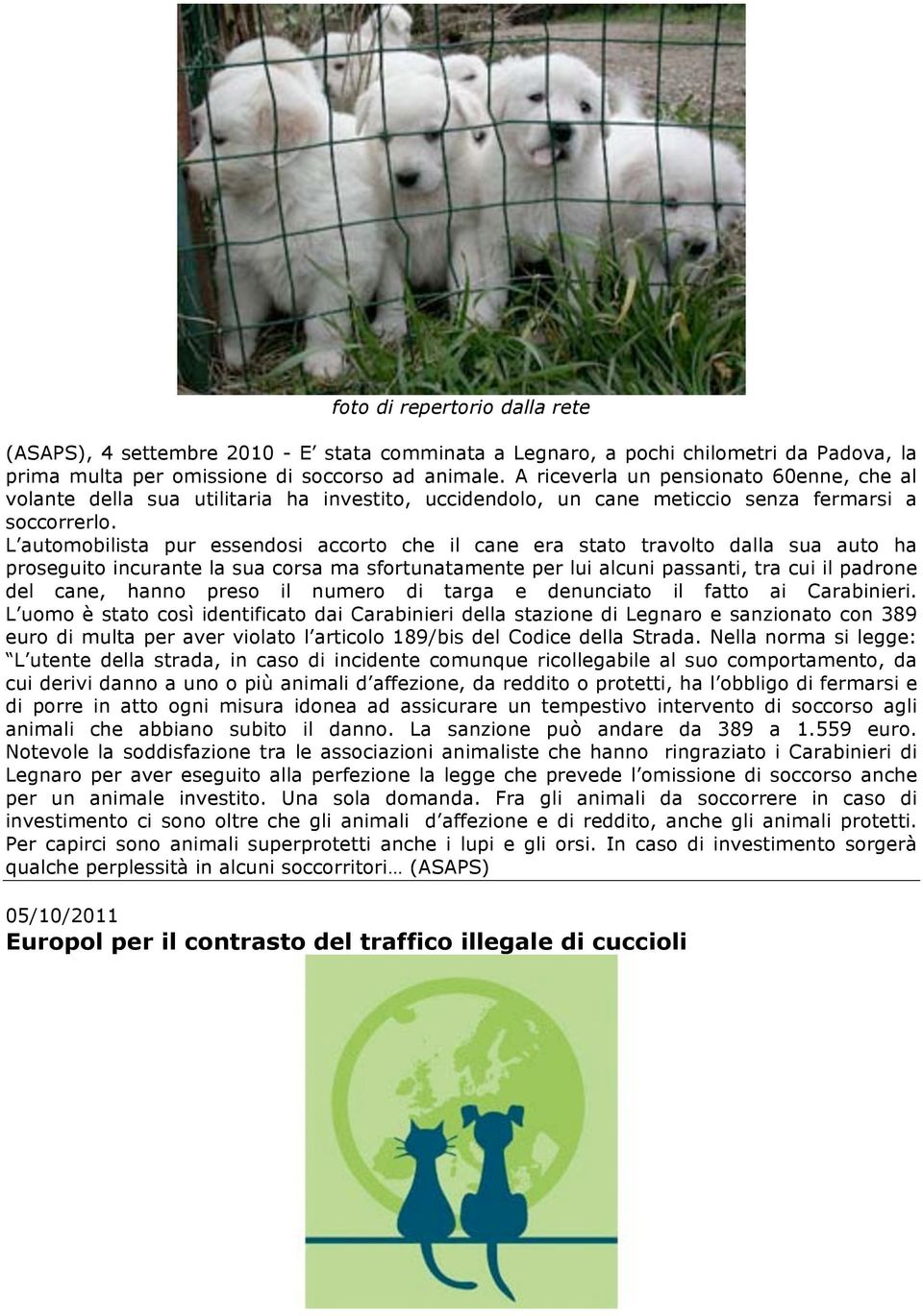 L automobilista pur essendosi accorto che il cane era stato travolto dalla sua auto ha proseguito incurante la sua corsa ma sfortunatamente per lui alcuni passanti, tra cui il padrone del cane, hanno