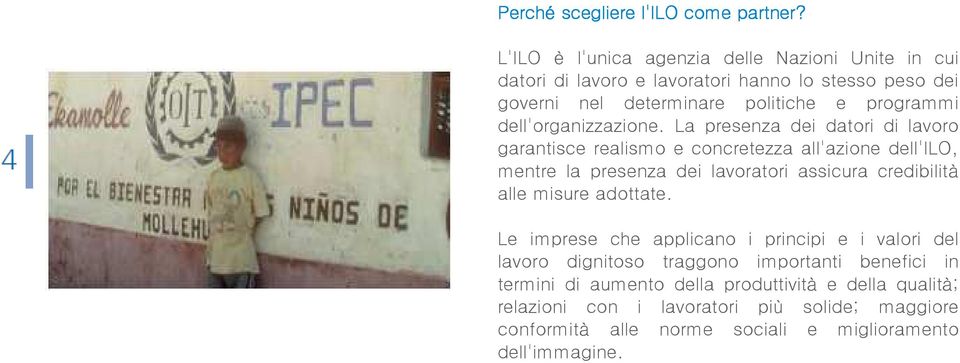 dell'organizzazione.