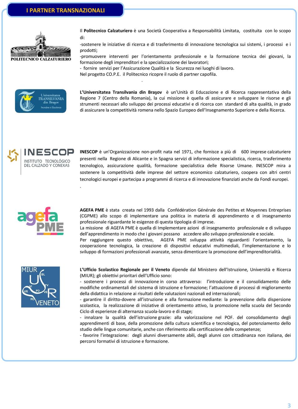 specializzazione dei lavoratori; - fornire servizi per l Assicurazione Qualità e la Sicurezza nei luoghi di lavoro. Nel progetto CO.P.E. il Politecnico ricopre il ruolo di partner capofila.