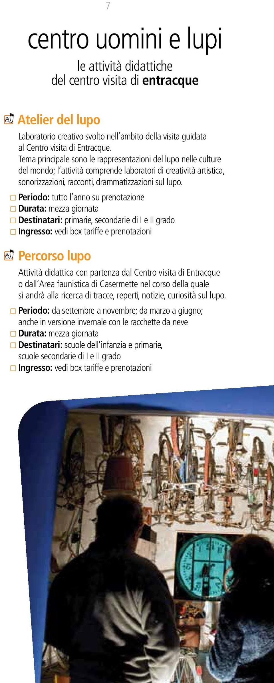 Periodo: tutto l anno su prenotazione Durata: mezza giornata Destinatari: primarie, secondarie di I e II grado Ingresso: vedi box tariffe e prenotazioni Percorso lupo Attività didattica con partenza