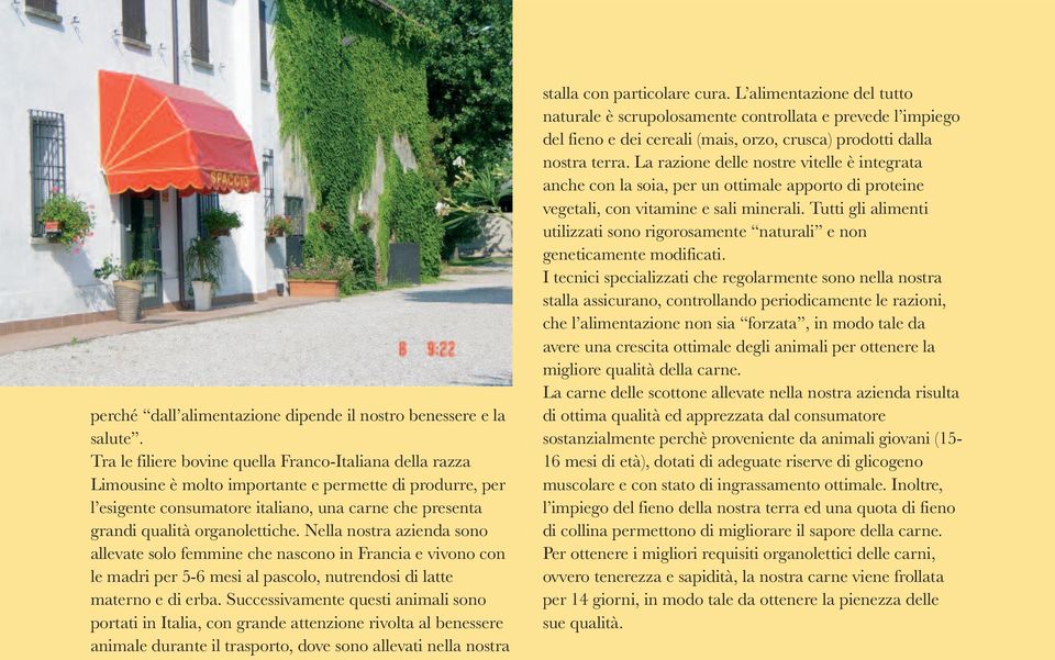 Nella nostra azienda sono allevate solo femmine che nascono in Francia e vivono con le madri per 5-6 mesi al pascolo, nutrendosi di latte materno e di erba.