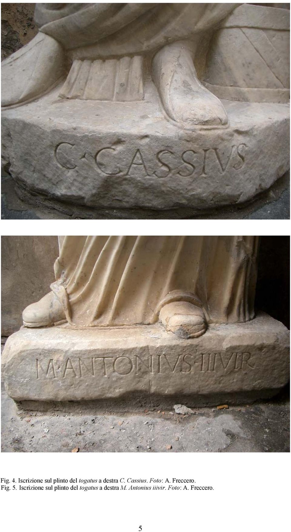 C. Cassius. Foto: A. Freccero. Fig. 5.  M.