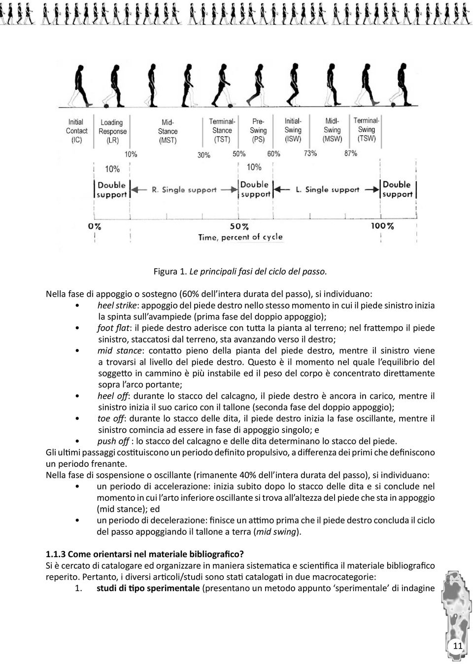 avampiede (prima fase del doppio appoggio); foot flat: il piede destro aderisce con tutta la pianta al terreno; nel frattempo il piede sinistro, staccatosi dal terreno, sta avanzando verso il destro;