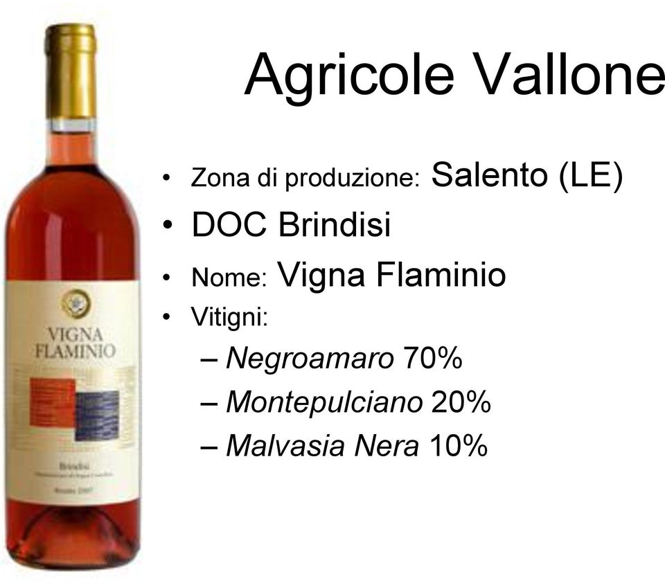 Brindisi Nome: Vigna Flaminio