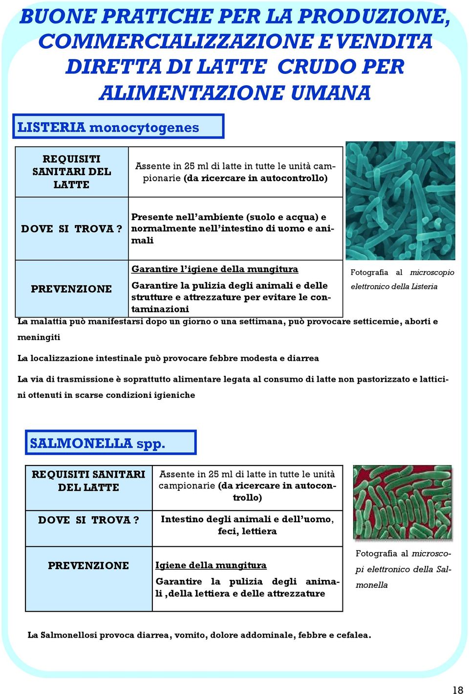 Listeria strutture e attrezzature per evitare le contaminazioni La malattia può manifestarsi dopo un giorno o una settimana, può provocare setticemie, aborti e meningiti La localizzazione intestinale