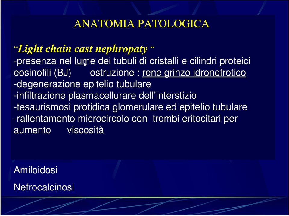 tubulare -infiltrazione plasmacellurare dell interstizio -tesaurismosi protidica glomerulare ed