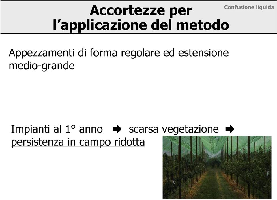 regolare ed estensione medio-grande Impianti