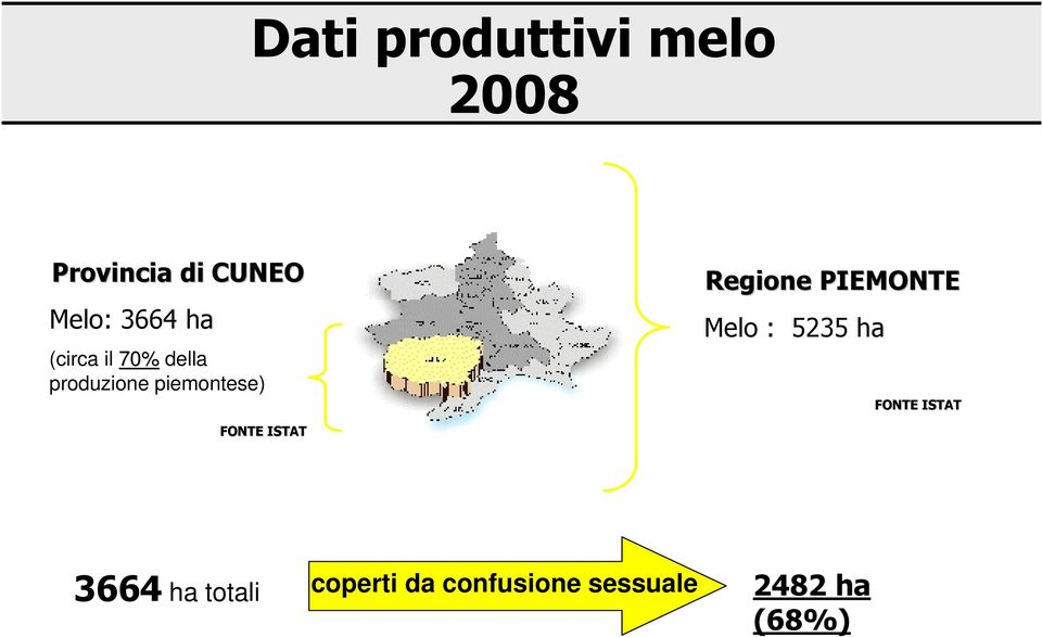 Regione PIEMONTE Melo : 5235 ha FONTE ISTAT FONTE