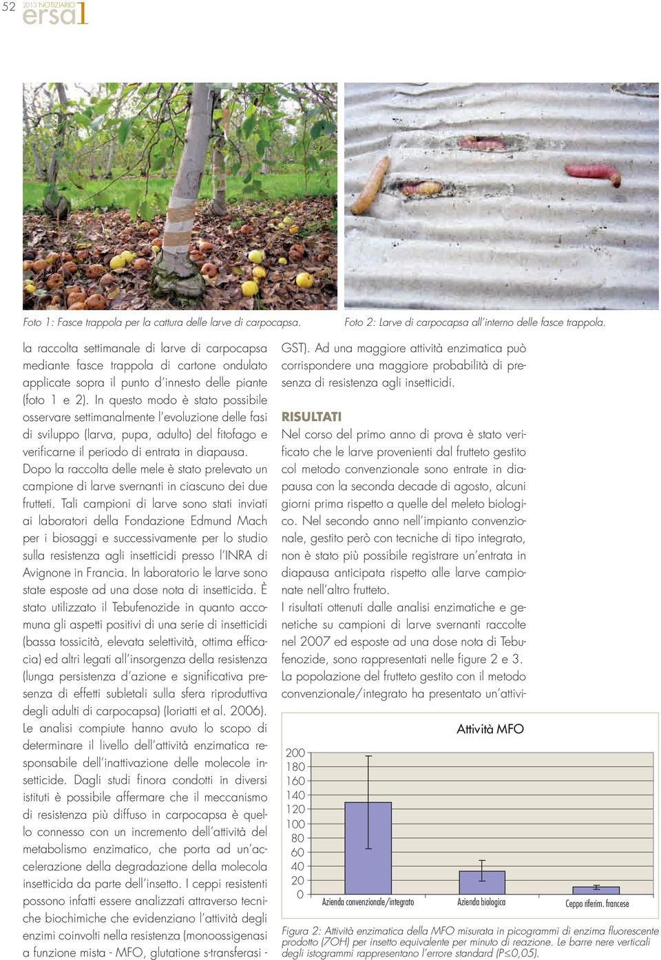 In questo modo è stato possibile osservare settimanalmente l evoluzione delle fasi di sviluppo (larva, pupa, adulto) del fitofago e verificarne il periodo di entrata in diapausa.