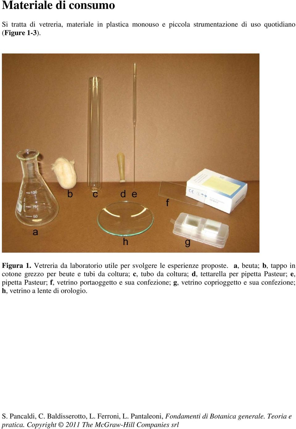 a, beuta; b, tappo in cotone grezzo per beute e tubi da coltura; c, tubo da coltura; d, tettarella per pipetta