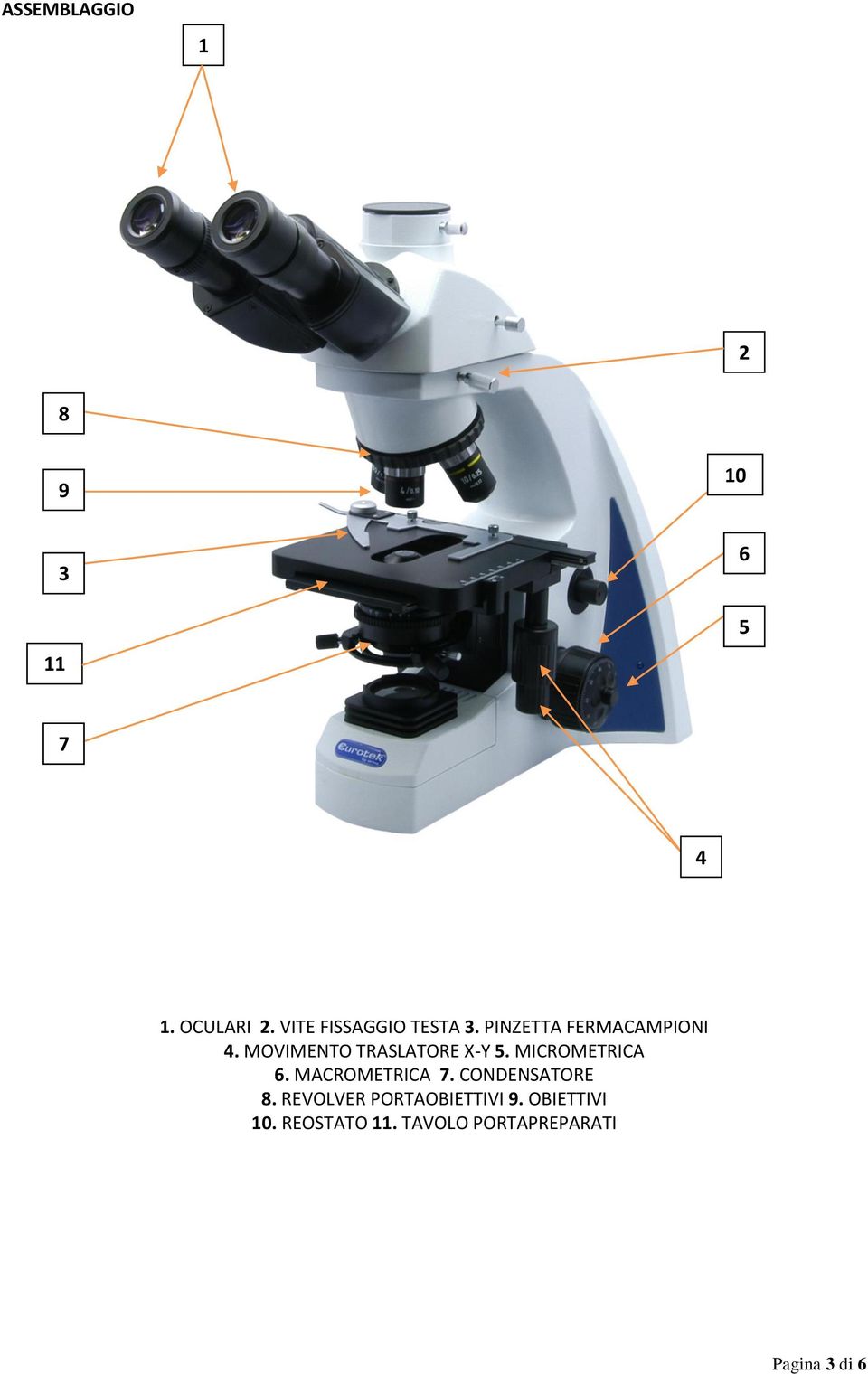 MOVIMENTO TRASLATORE X-Y 5. MICROMETRICA 6. MACROMETRICA 7.