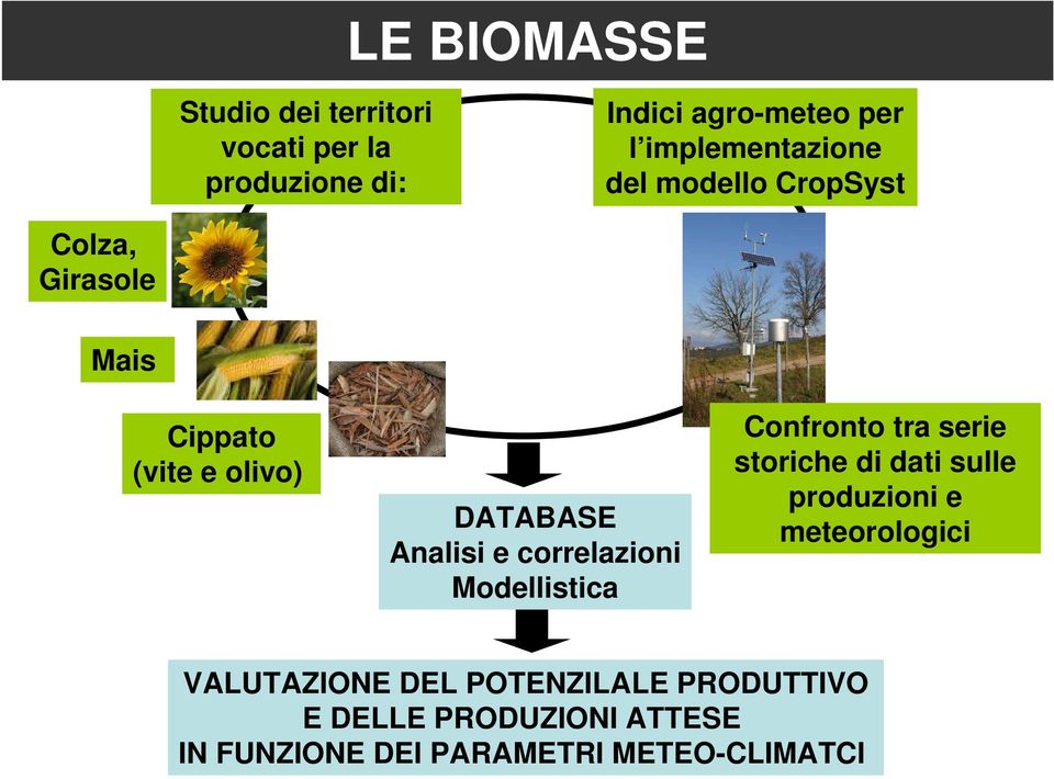 Analisi e correlazioni Modellistica Confronto tra serie storiche di dati sulle produzioni e