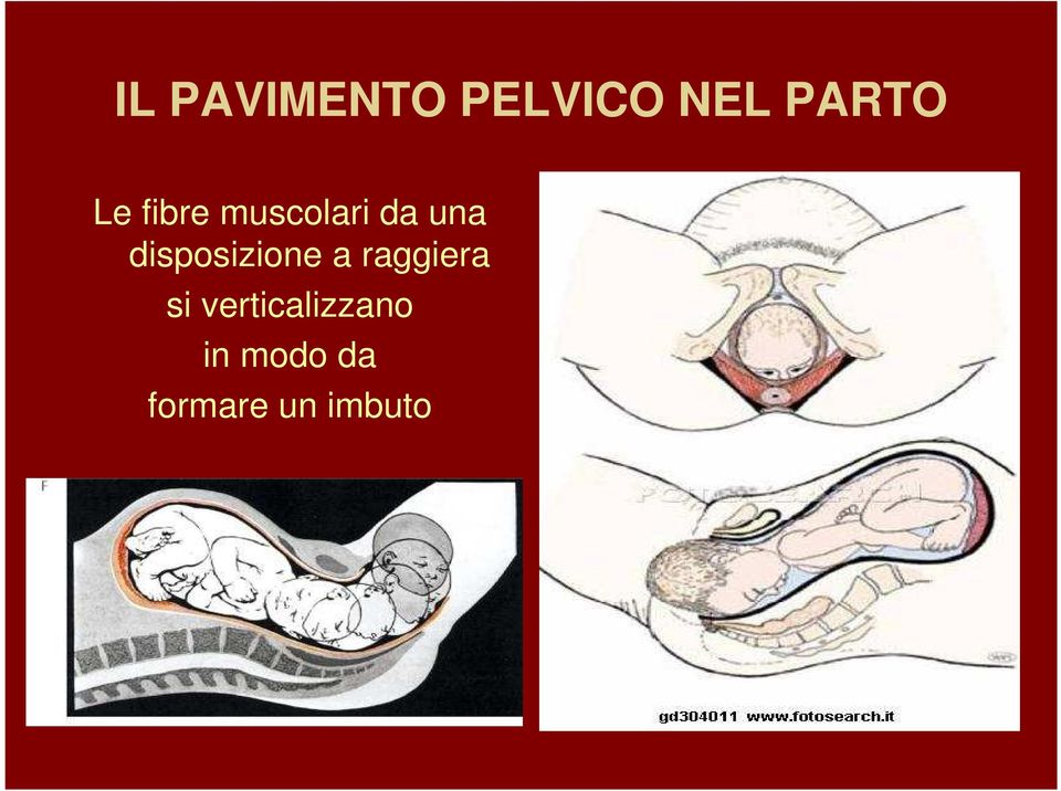 disposizione a raggiera si