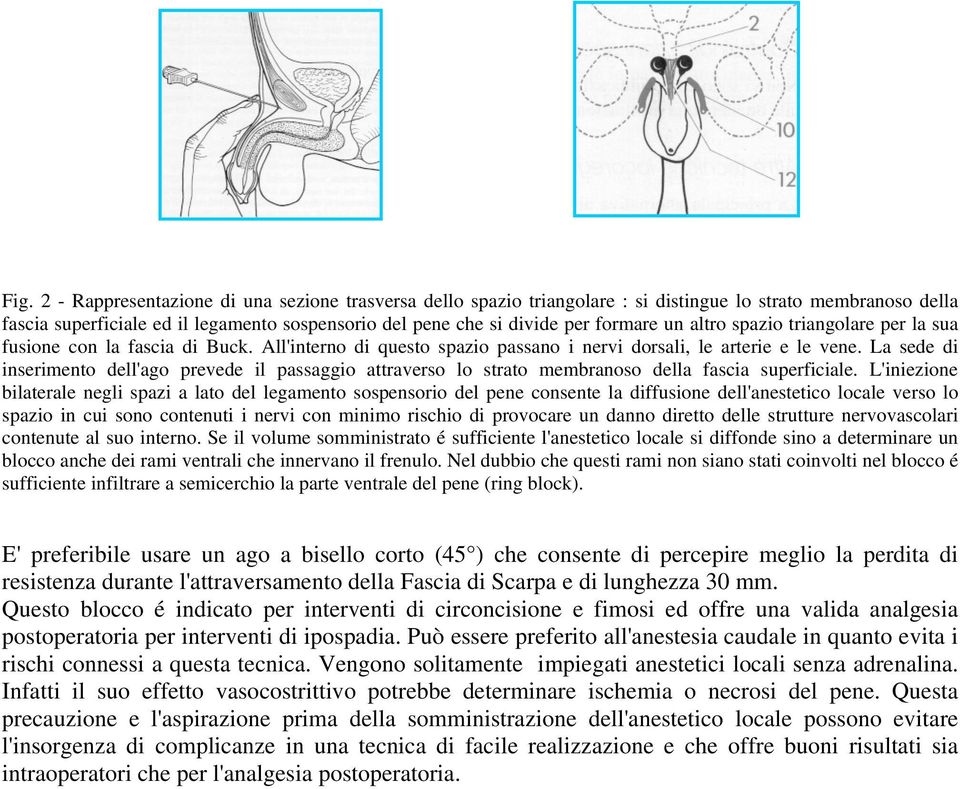 La sede di inserimento dell'ago prevede il passaggio attraverso lo strato membranoso della fascia superficiale.