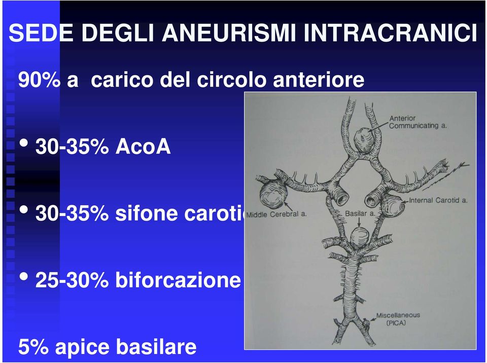 30-35% AcoA 30-35% sifone carotideo